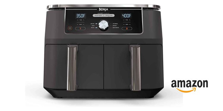 Ninja DZ401 Foodi air fryer