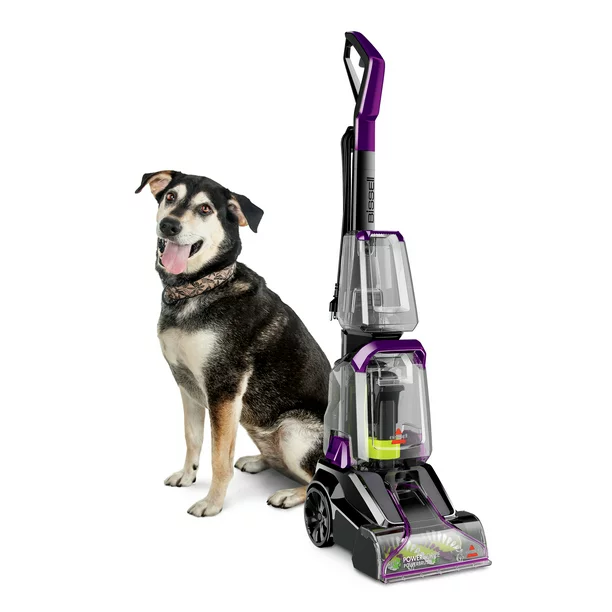 perfect vacuum to remove dog and cat hair