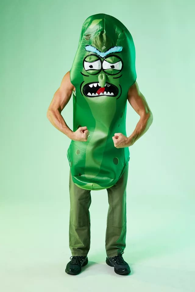 Urban Outfitters Pickle Rick Halloween Costume