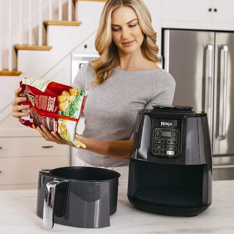 Ninja Air Fryer AF101 