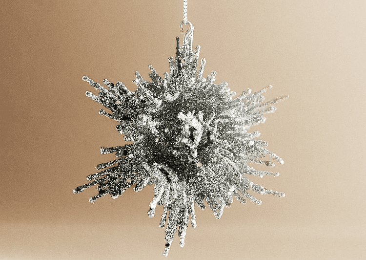 Zara Home Decorate Glitter Snowflake