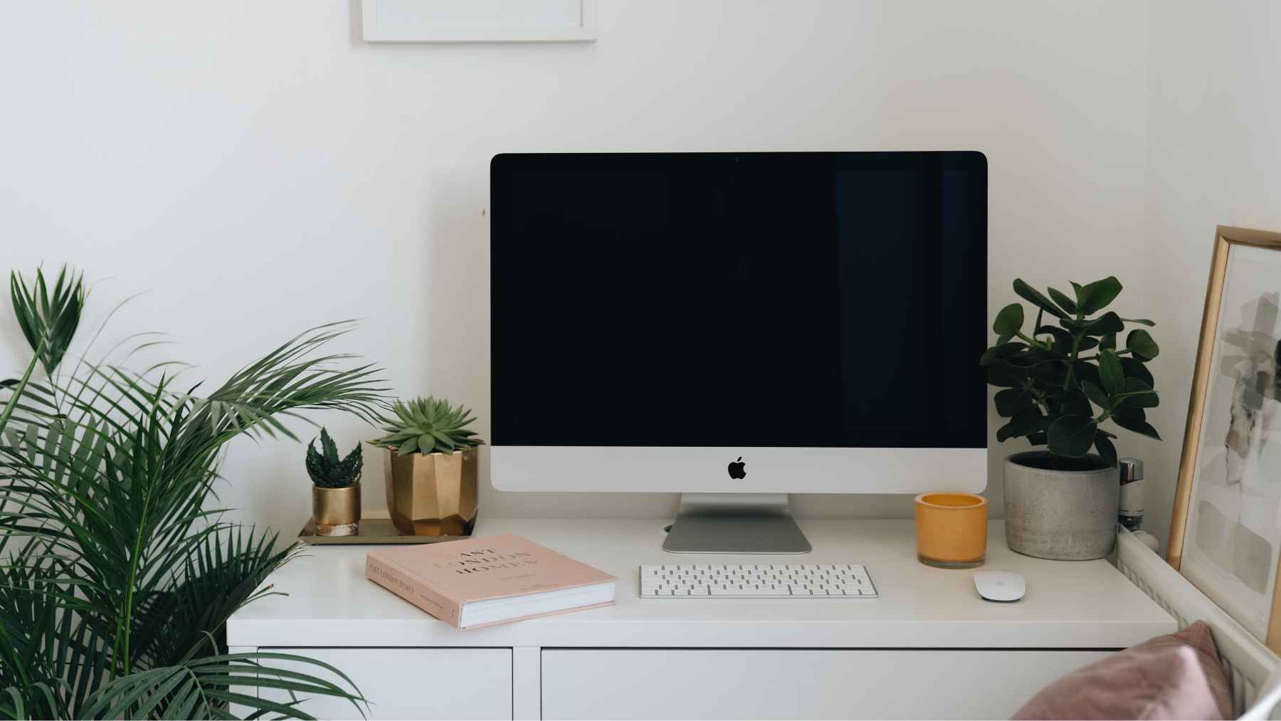 costco apple monitor