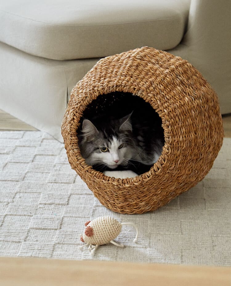 Pet Basket for Cats