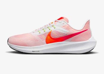 Nike Pegasus 39