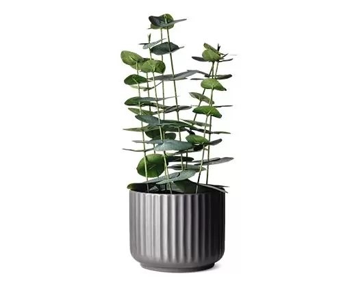 ALDI Huntington Home Decorative Faux Plant