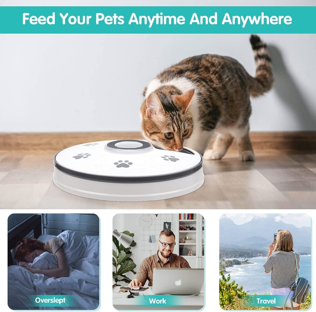 Chintu Automatic Cat Feeder, Auto Cat Food Dispenser