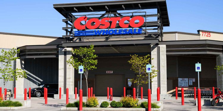 The large Raylin brand Costco furniture for large rooms